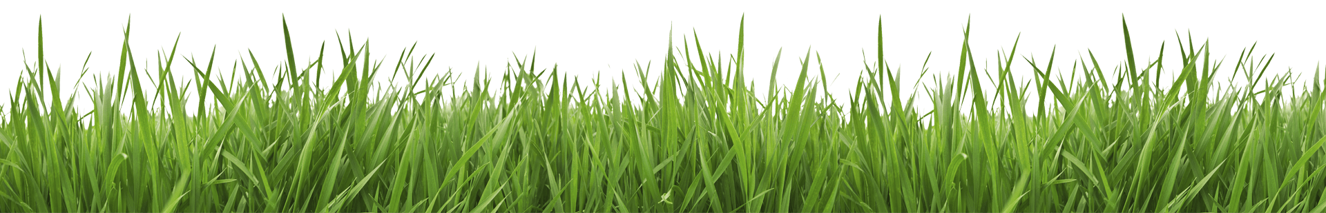 Kevin's Lawn Service