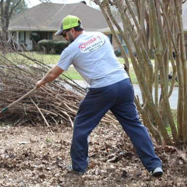 Landscape<br> Design Services