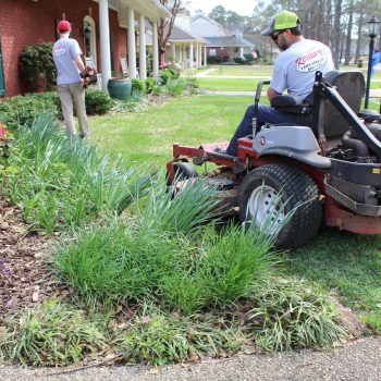 Lawn Service