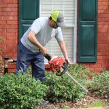 Yard Work