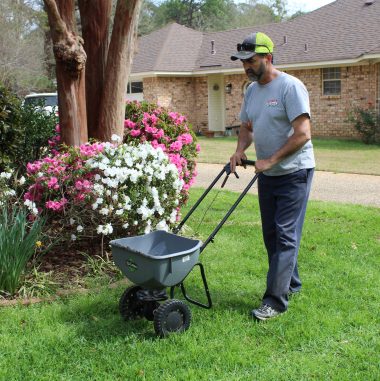 Fertilize