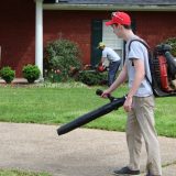 Leaf Removal